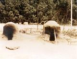 COE-21 1980-1983 003